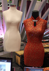 Customized Torso Form